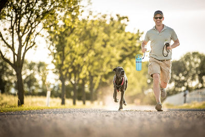 Der Hundekotgreifer von Pfotenglück: Sauberkeit und Komfort für alle Hundebesitzer