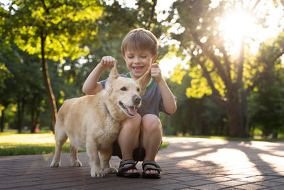 Gemeinsam stark: 10 Tipps für eine harmonische Beziehung zwischen Hunden und Kindern