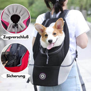 Pfotenglück | Hunde-Rucksack