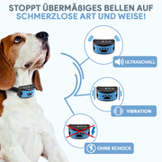 Pfotenglück | Anti-Bell Halsband