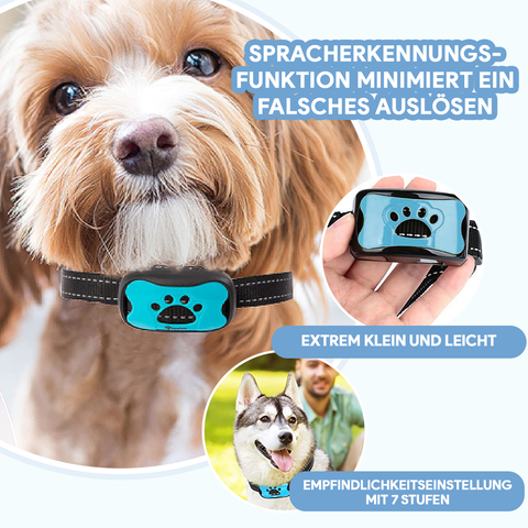 Pfotenglück | Anti-Bell Halsband