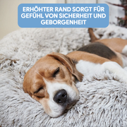 Pfotenglück | Hundebett