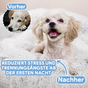 Pfotenglück | Hundebett