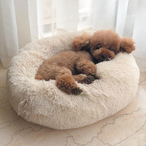 Paw luck | Dog bed