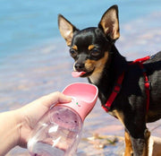 Paw luck | Dog drinking bottle including food container 